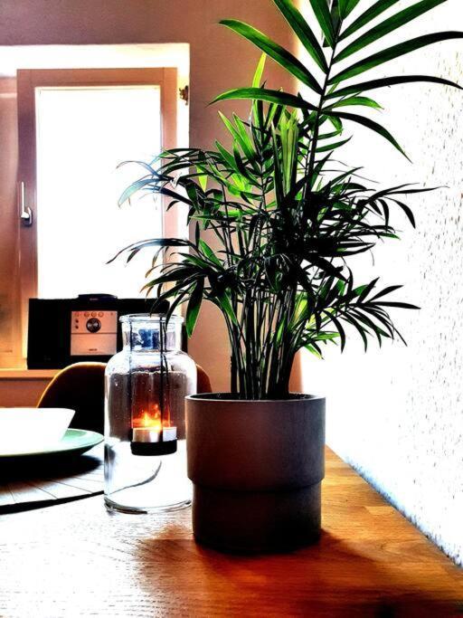 Rostock Hautnah Erleben - Schoene Maisonette 2Og ภายนอก รูปภาพ
